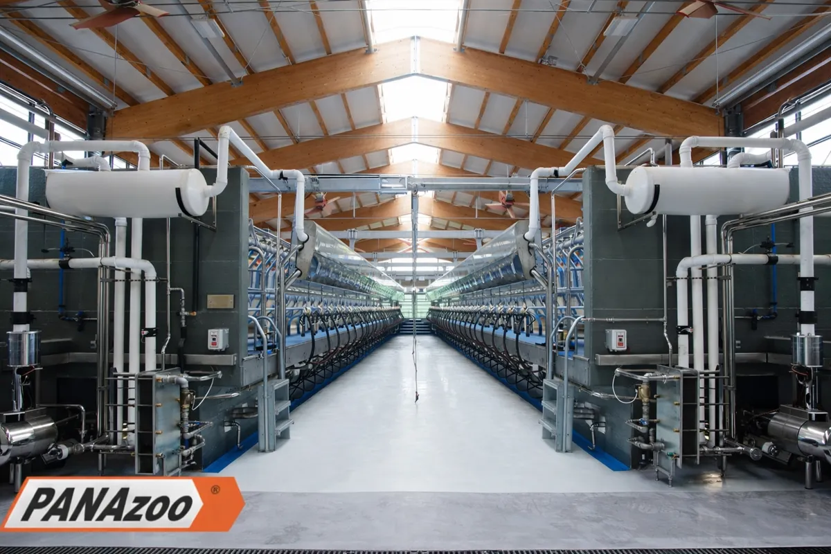 Доильный зал PANAzoo «Параллель» 2×20, вид спереди из ямы оператора